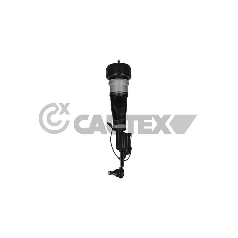 Ammortizzatore asse anteriore - CAUTEX GOMMA E PARTI MOTORE