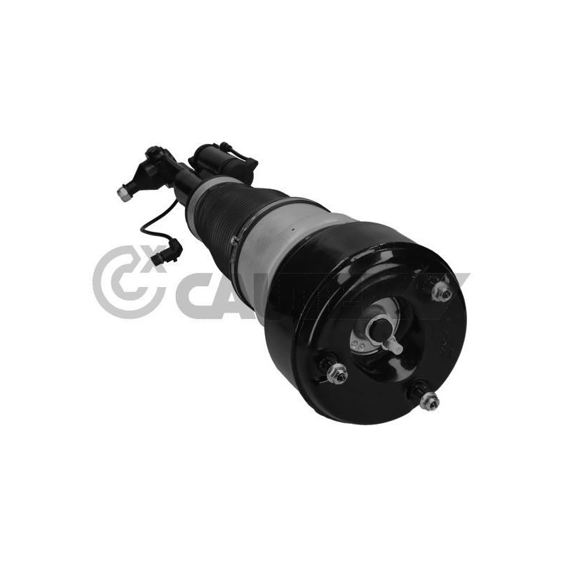 Ammortizzatore asse anteriore - CAUTEX GOMMA E PARTI MOTORE