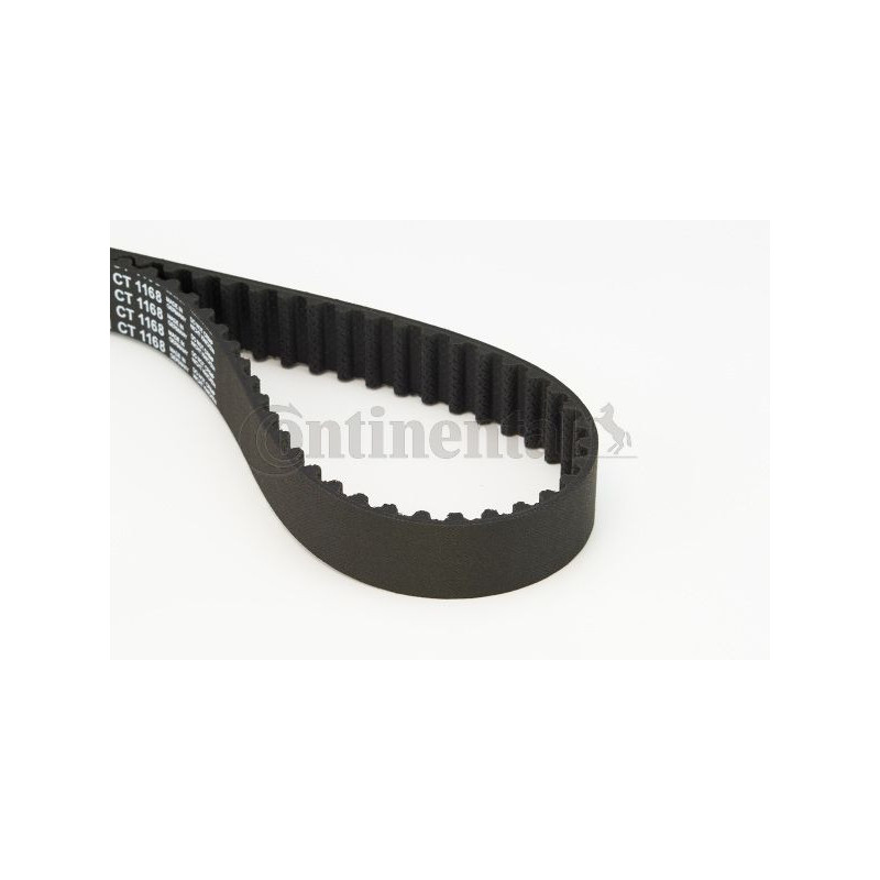 Cinghia/catena distribuzione - CONTITECH