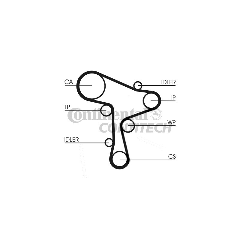 Cinghia/catena distribuzione - CONTITECH