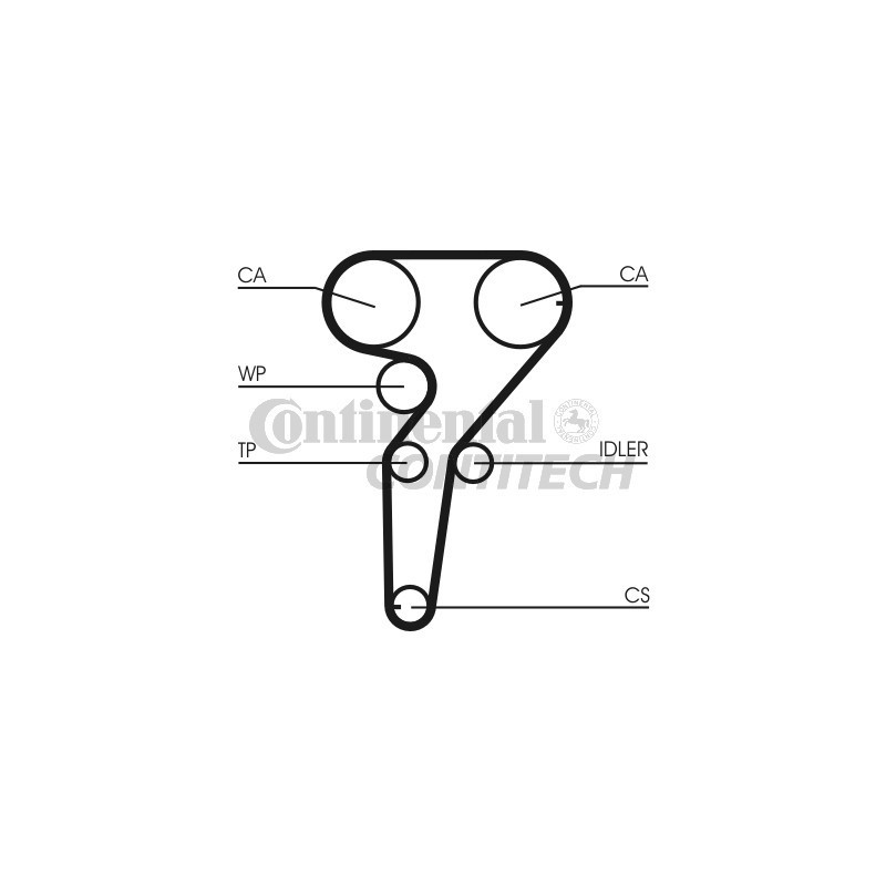 Cinghia/catena distribuzione - CONTITECH