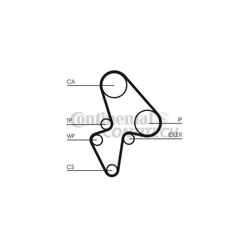 Cinghia/catena distribuzione - CONTITECH