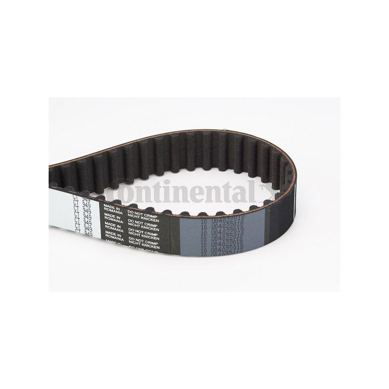 Cinghia/catena distribuzione - CONTITECH