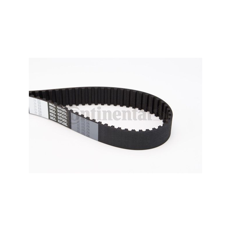 Cinghia/catena distribuzione - CONTITECH