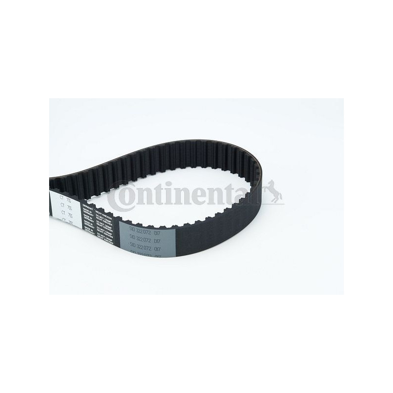 Cinghia/catena distribuzione - CONTITECH