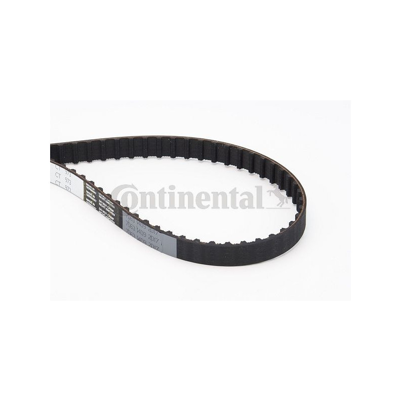Cinghia/catena distribuzione - CONTITECH