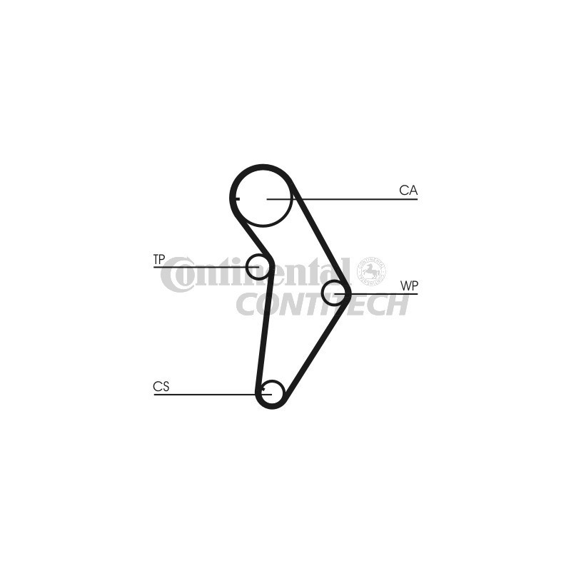 Cinghia/catena distribuzione - CONTITECH