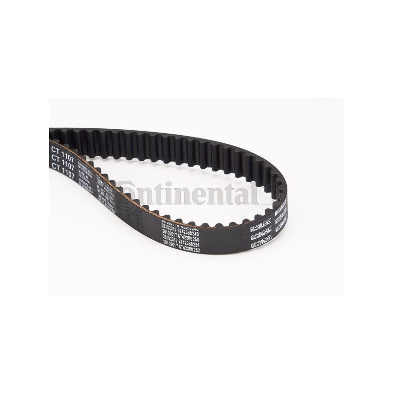 Cinghia/catena distribuzione - CONTITECH