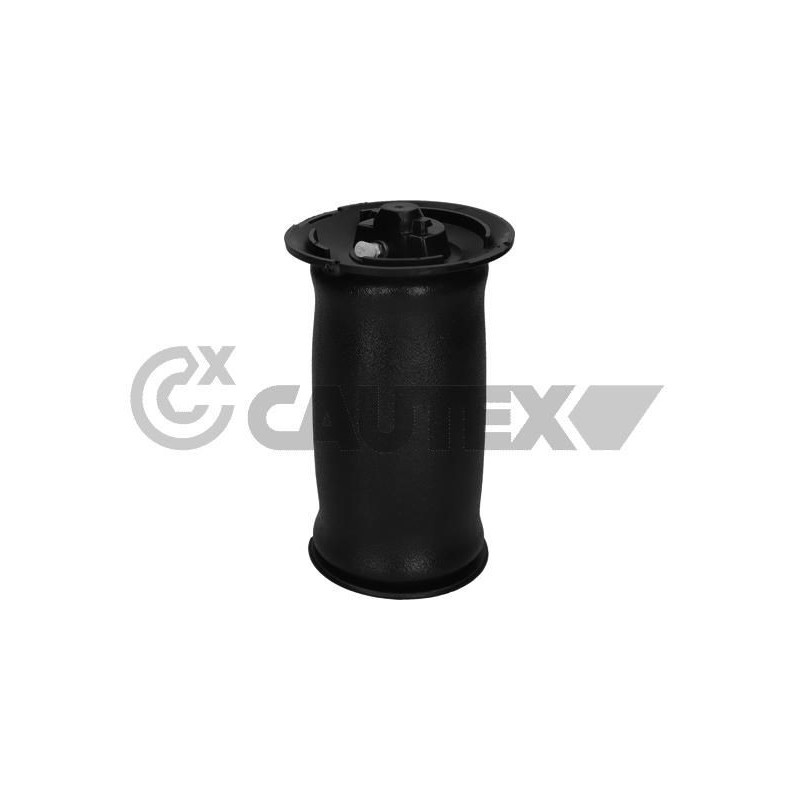 Ammortizzatore asse posteriore - CAUTEX GOMMA E PARTI MOTORE