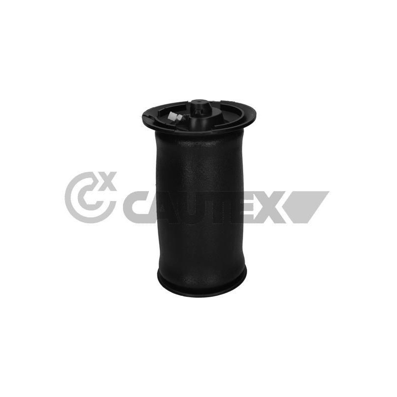 Ammortizzatore asse posteriore - CAUTEX GOMMA E PARTI MOTORE