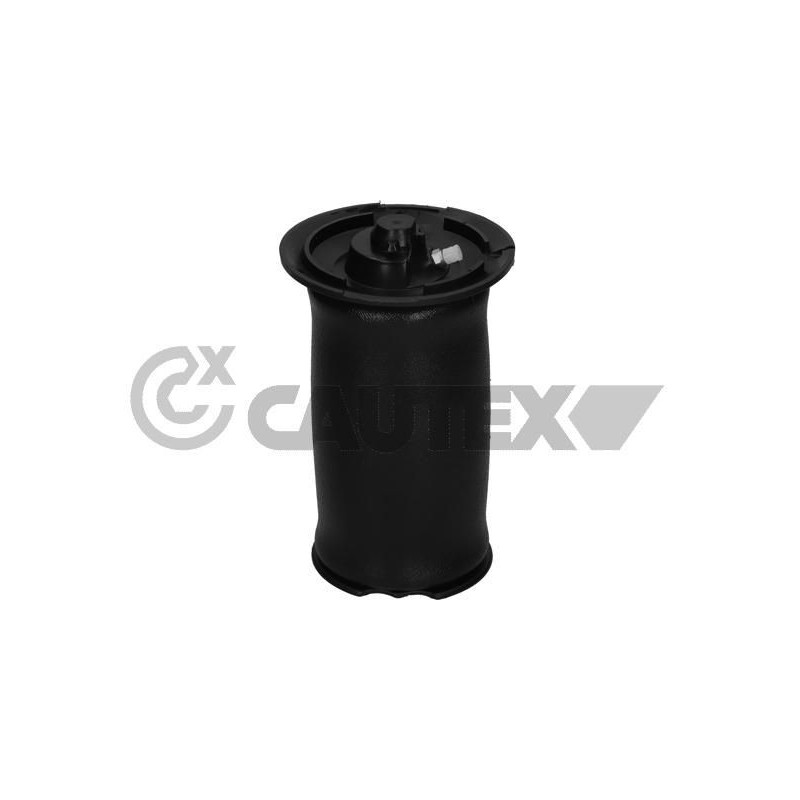 Ammortizzatore asse posteriore - CAUTEX GOMMA E PARTI MOTORE