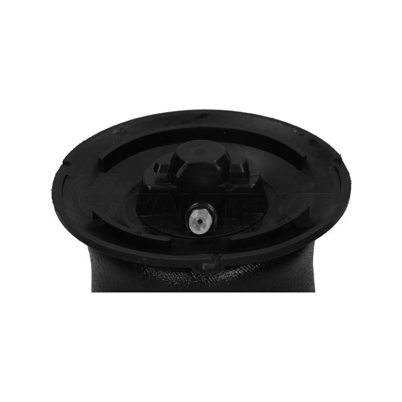 Ammortizzatore asse posteriore - CAUTEX GOMMA E PARTI MOTORE