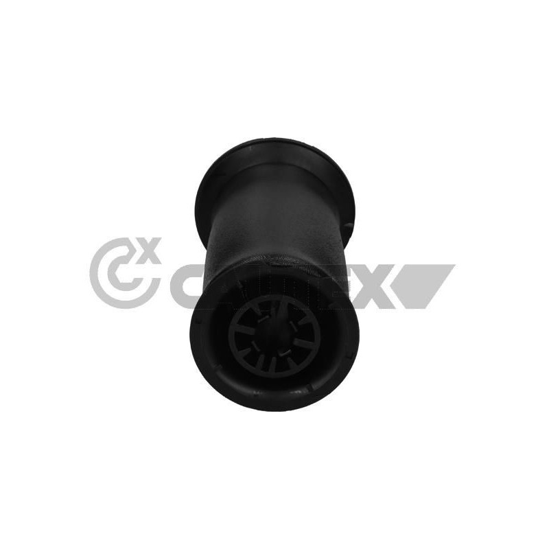 Ammortizzatore asse posteriore - CAUTEX GOMMA E PARTI MOTORE