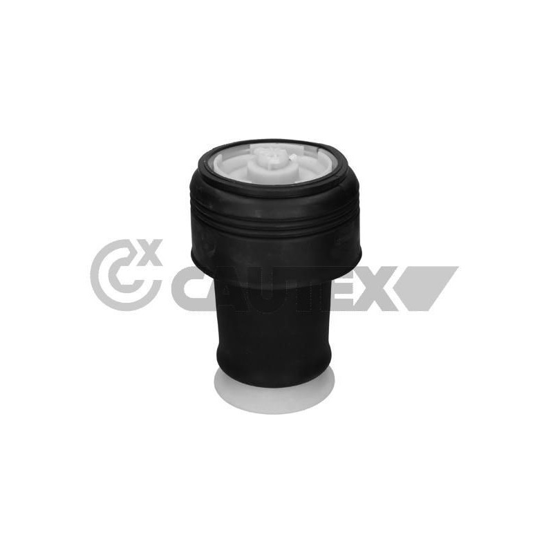 Ammortizzatore asse posteriore - CAUTEX GOMMA E PARTI MOTORE