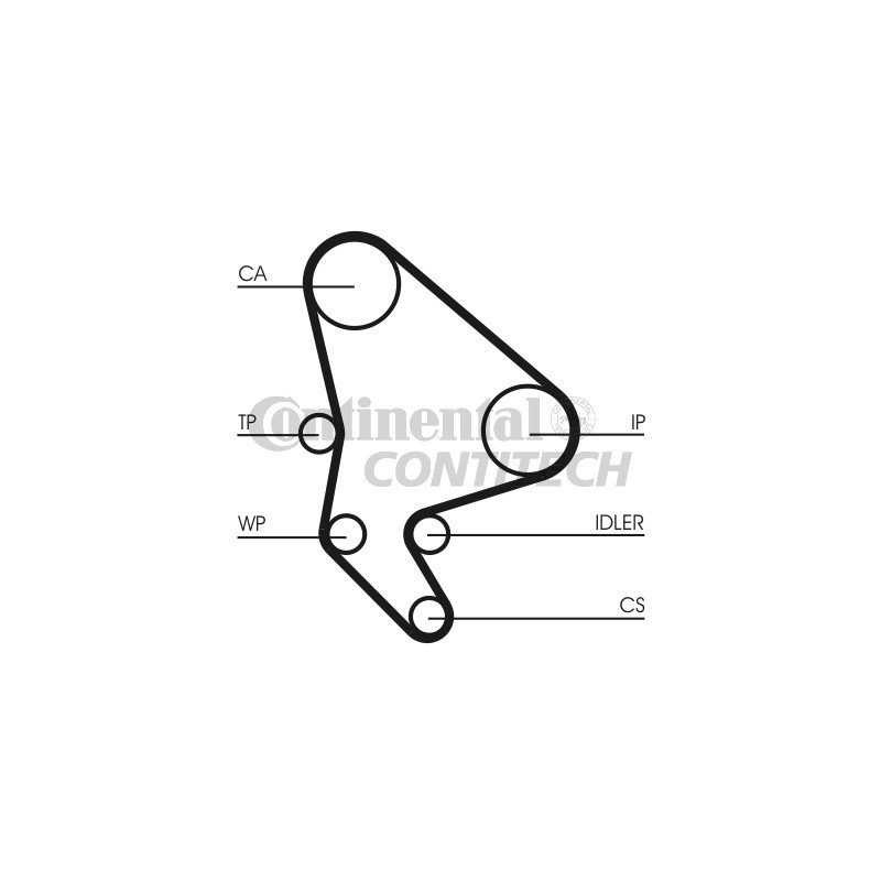 Cinghia/catena distribuzione - CONTITECH