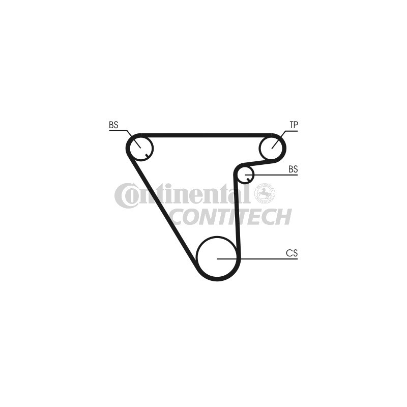 Cinghia/catena distribuzione - CONTITECH