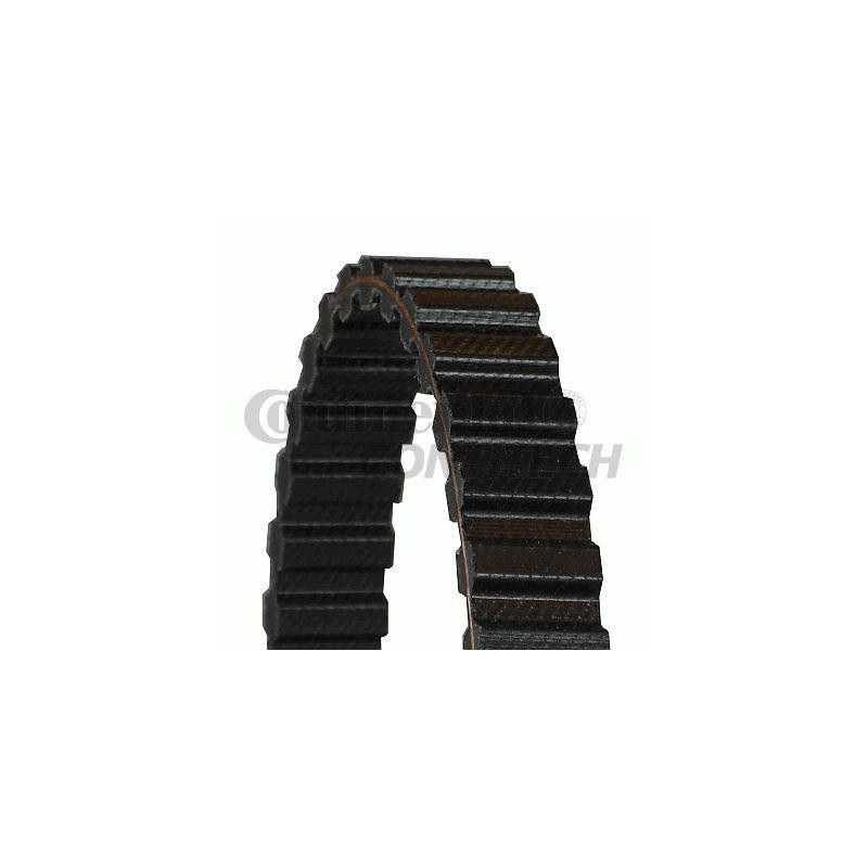 Cinghia/catena distribuzione - CONTITECH