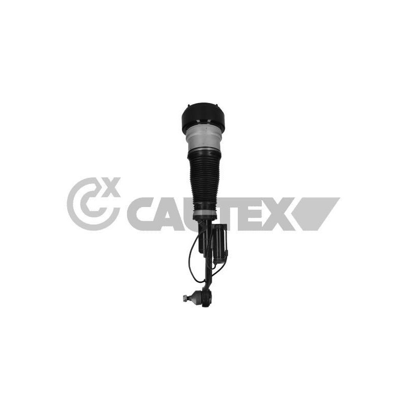 Ammortizzatore asse anteriore - CAUTEX GOMMA E PARTI MOTORE