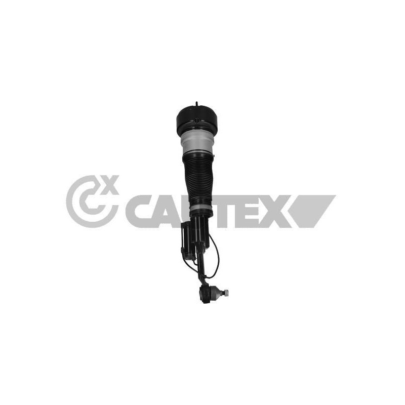 Ammortizzatore asse anteriore - CAUTEX GOMMA E PARTI MOTORE