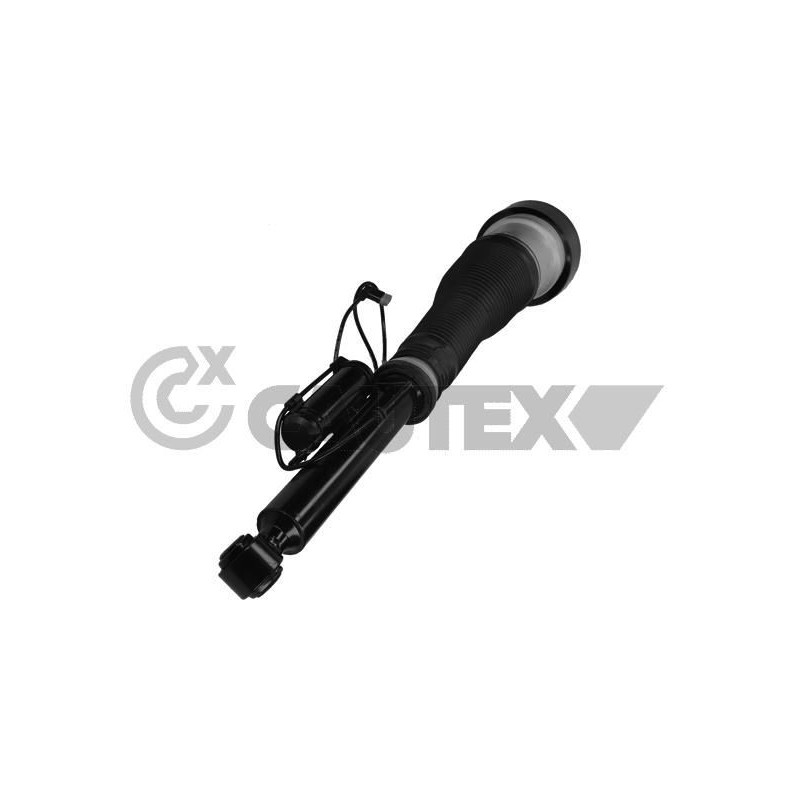 Ammortizzatore asse posteriore - CAUTEX GOMMA E PARTI MOTORE