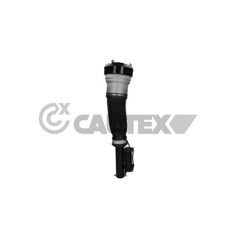 Ammortizzatore asse anteriore - CAUTEX GOMMA E PARTI MOTORE
