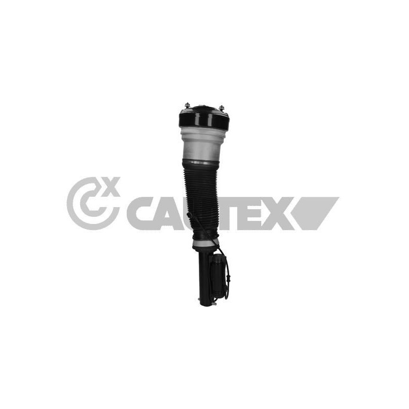 Ammortizzatore asse anteriore - CAUTEX GOMMA E PARTI MOTORE