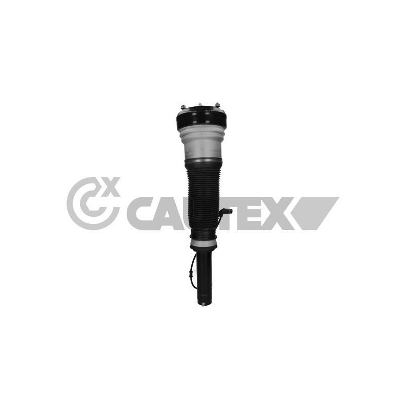 Ammortizzatore asse anteriore - CAUTEX GOMMA E PARTI MOTORE