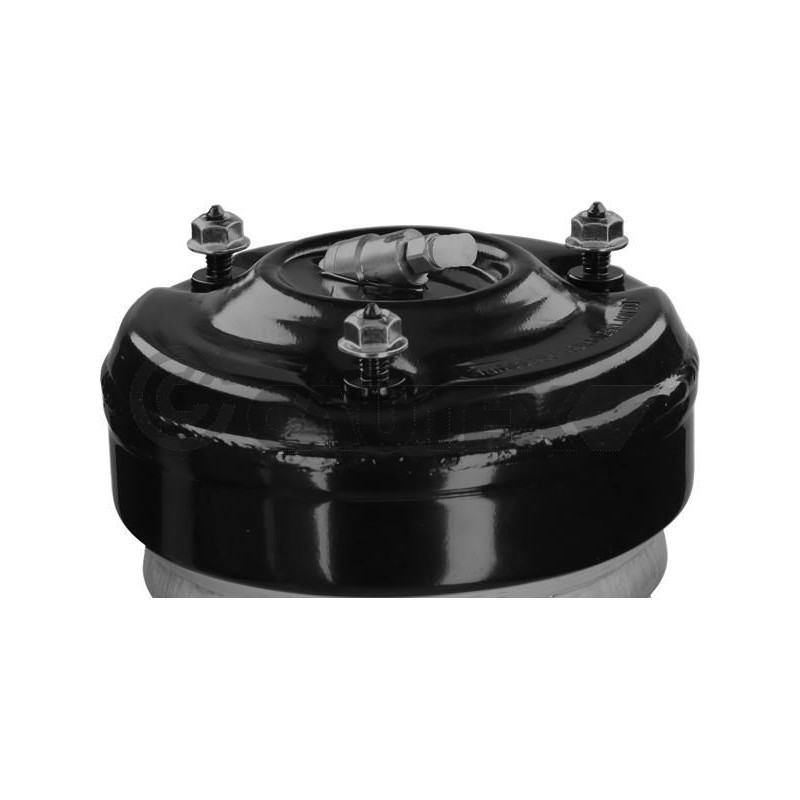 Ammortizzatore asse anteriore - CAUTEX GOMMA E PARTI MOTORE