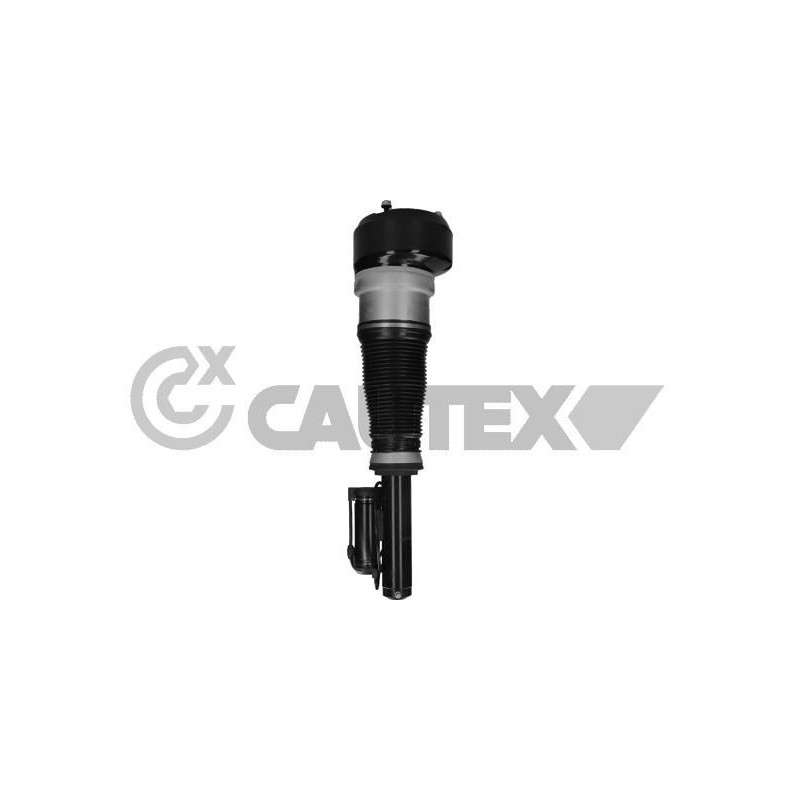 Ammortizzatore asse anteriore - CAUTEX GOMMA E PARTI MOTORE