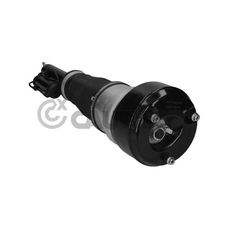Ammortizzatore asse anteriore - CAUTEX GOMMA E PARTI MOTORE