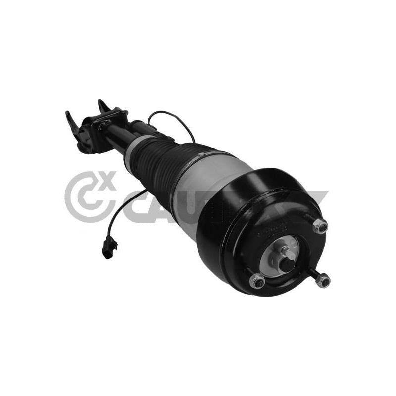 Ammortizzatore asse anteriore - CAUTEX GOMMA E PARTI MOTORE