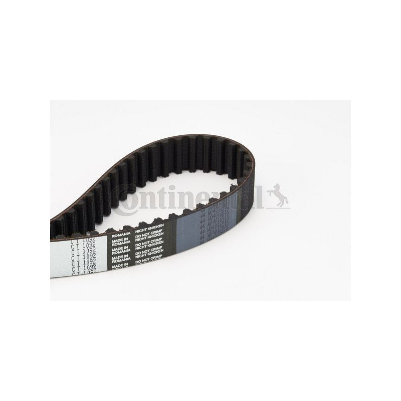 Cinghia/catena distribuzione - CONTITECH