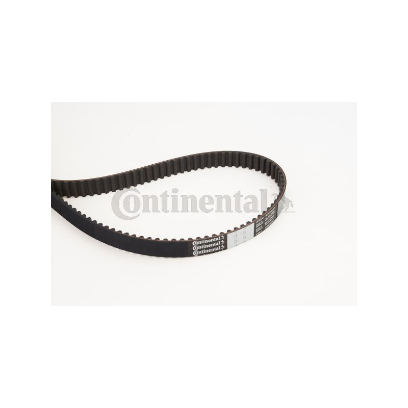 Cinghia/catena distribuzione - CONTITECH