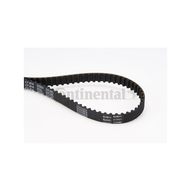 Cinghia/catena distribuzione - CONTITECH
