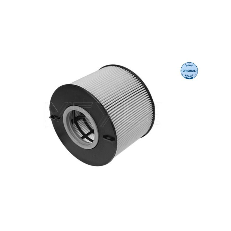 Filtro carburante - MEYLE