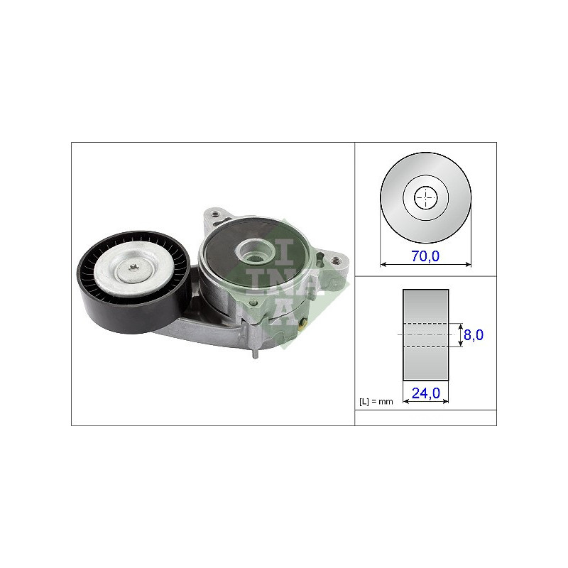 Tendicinghia trapezoidale - INA