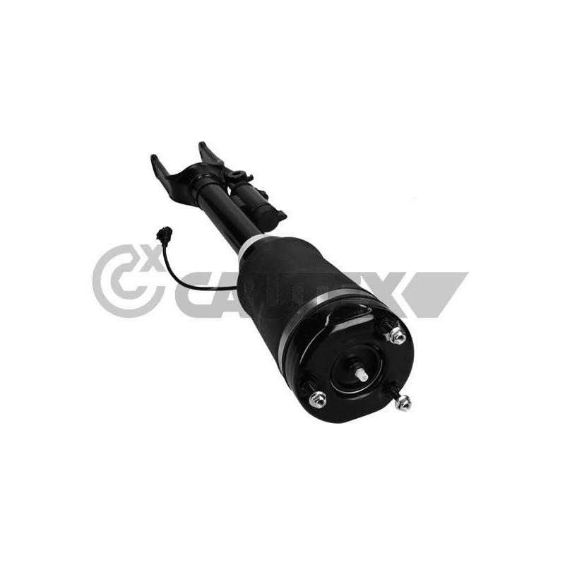 Ammortizzatore asse anteriore - CAUTEX GOMMA E PARTI MOTORE