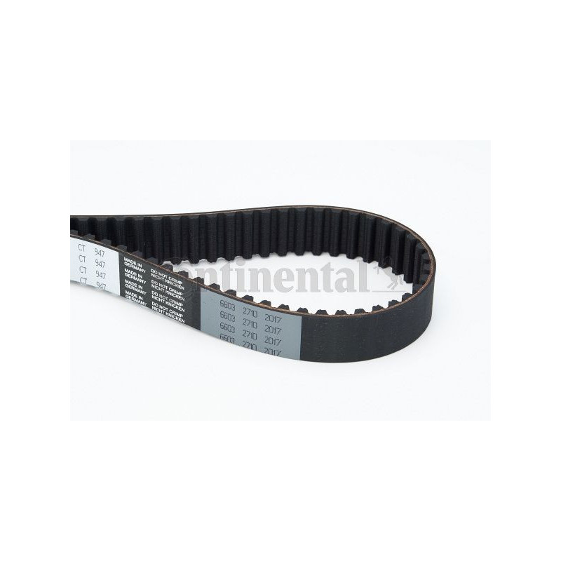 Cinghia/catena distribuzione - CONTITECH