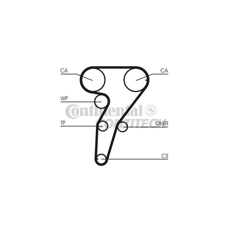 Cinghia/catena distribuzione - CONTITECH