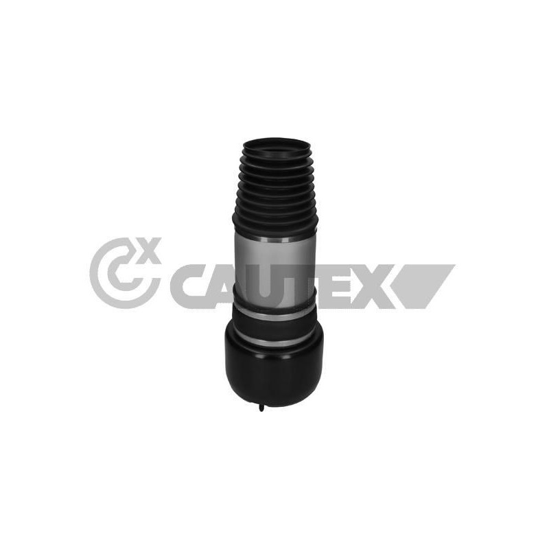 Ammortizzatore asse anteriore - CAUTEX GOMMA E PARTI MOTORE