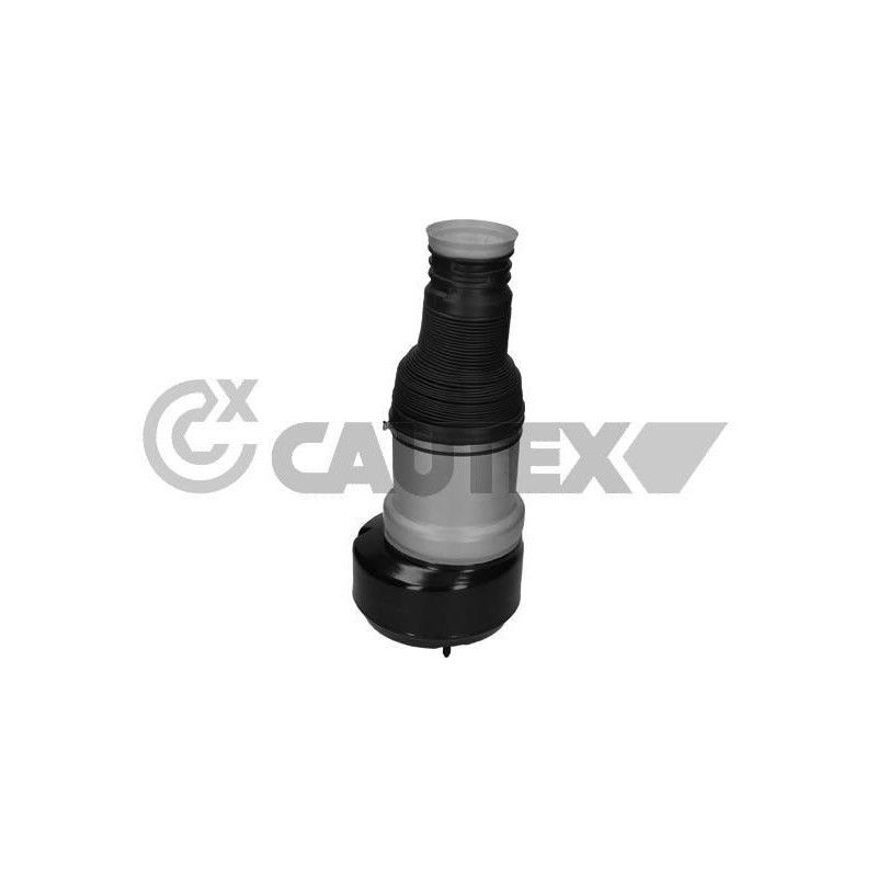 Ammortizzatore asse posteriore - CAUTEX GOMMA E PARTI MOTORE