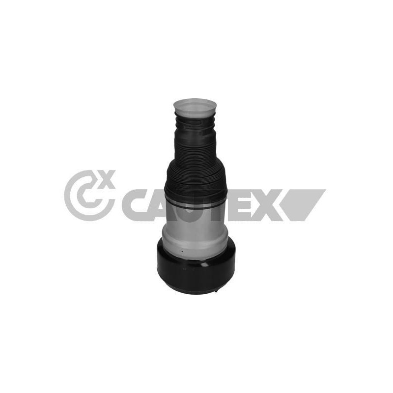 Ammortizzatore asse posteriore - CAUTEX GOMMA E PARTI MOTORE