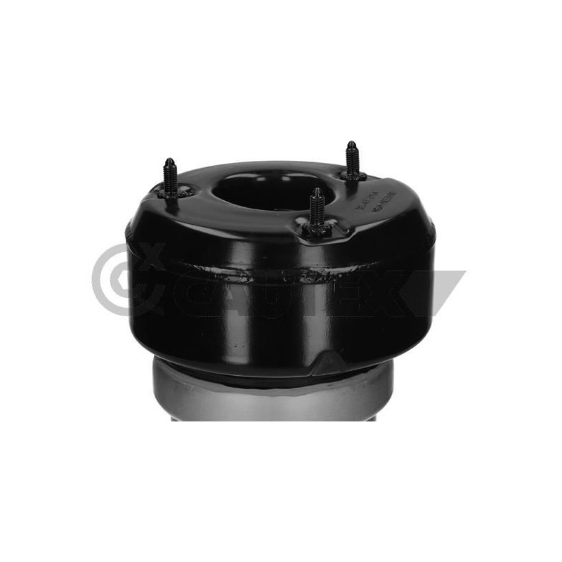 Ammortizzatore asse posteriore - CAUTEX GOMMA E PARTI MOTORE