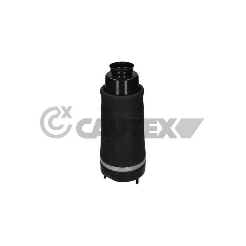 Ammortizzatore asse anteriore - CAUTEX GOMMA E PARTI MOTORE