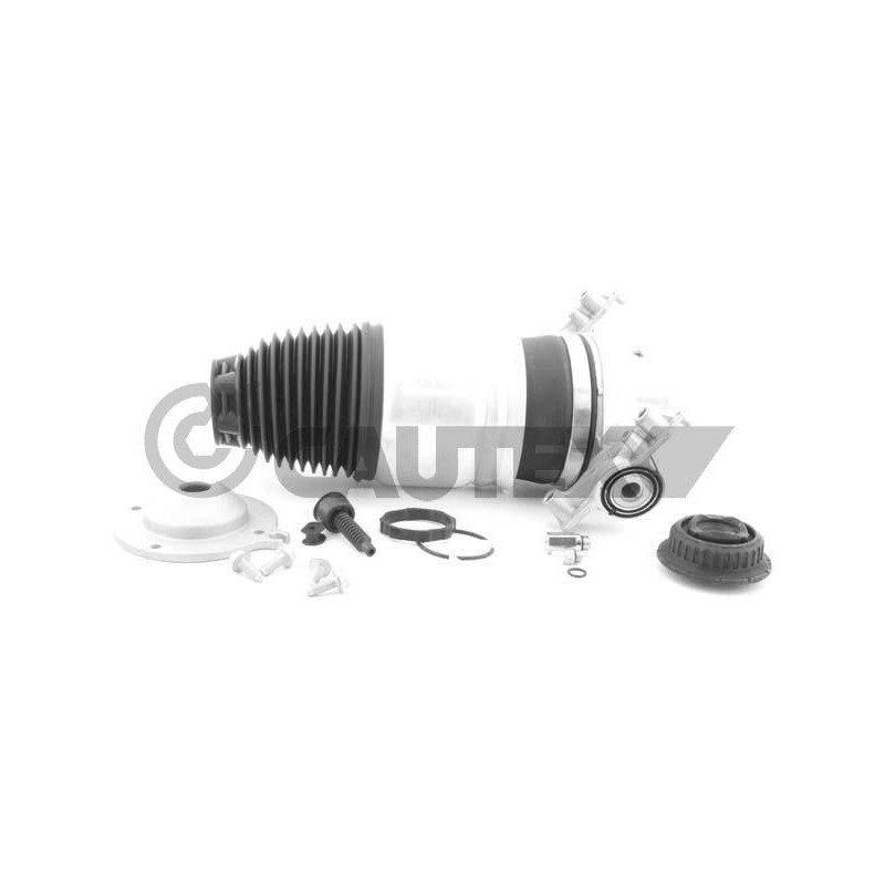 Ammortizzatore asse posteriore - CAUTEX GOMMA E PARTI MOTORE