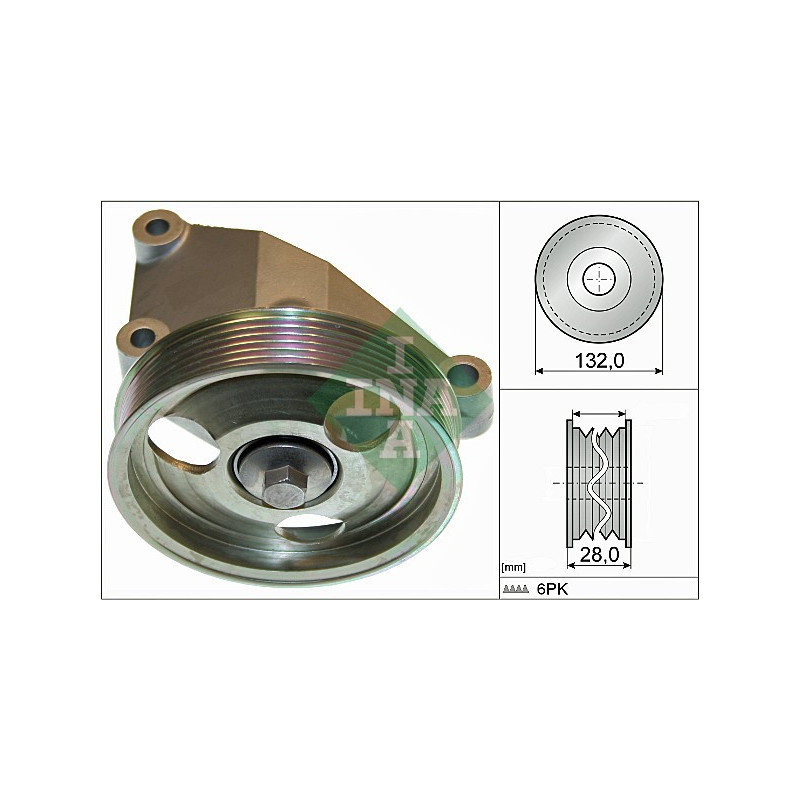 Tendicinghia trapezoidale - INA