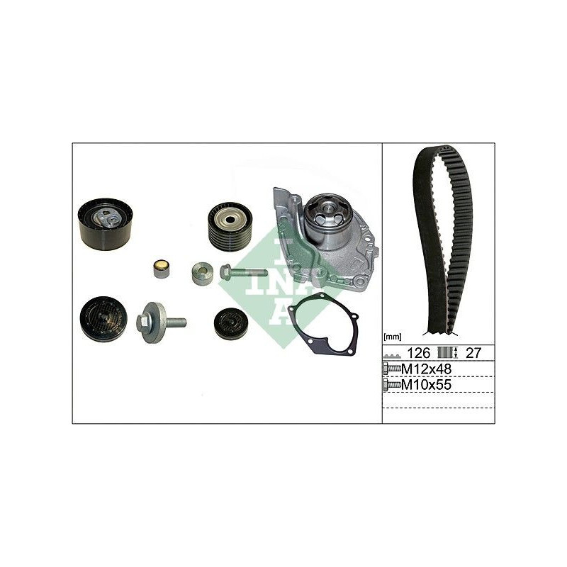 Tendicinghia trapezoidale - INA