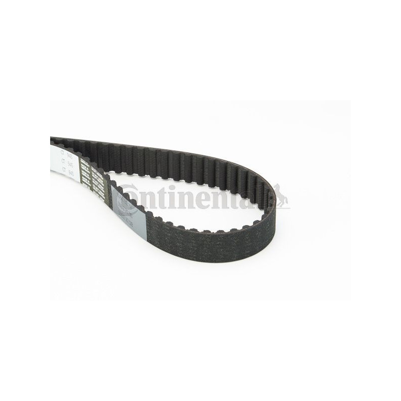 Cinghia/catena distribuzione - CONTITECH