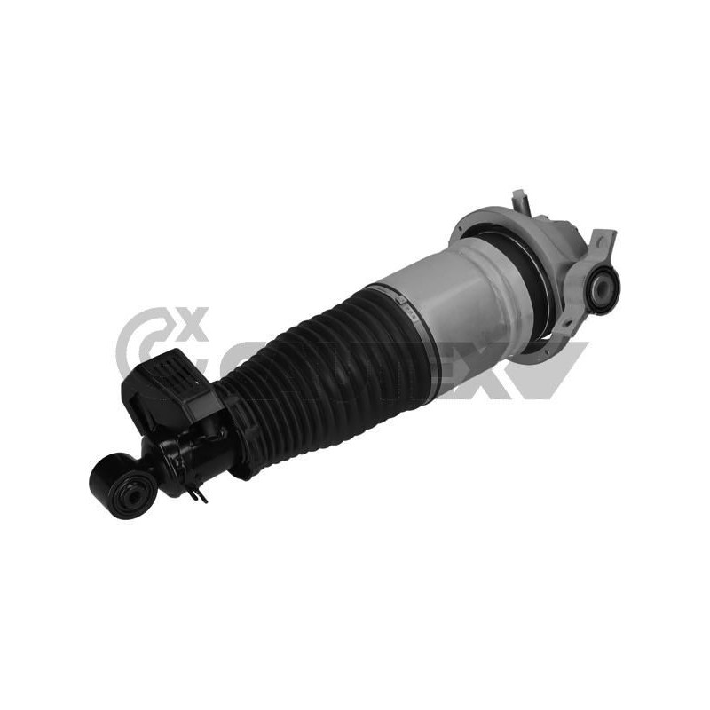 Ammortizzatore asse posteriore - CAUTEX GOMMA E PARTI MOTORE