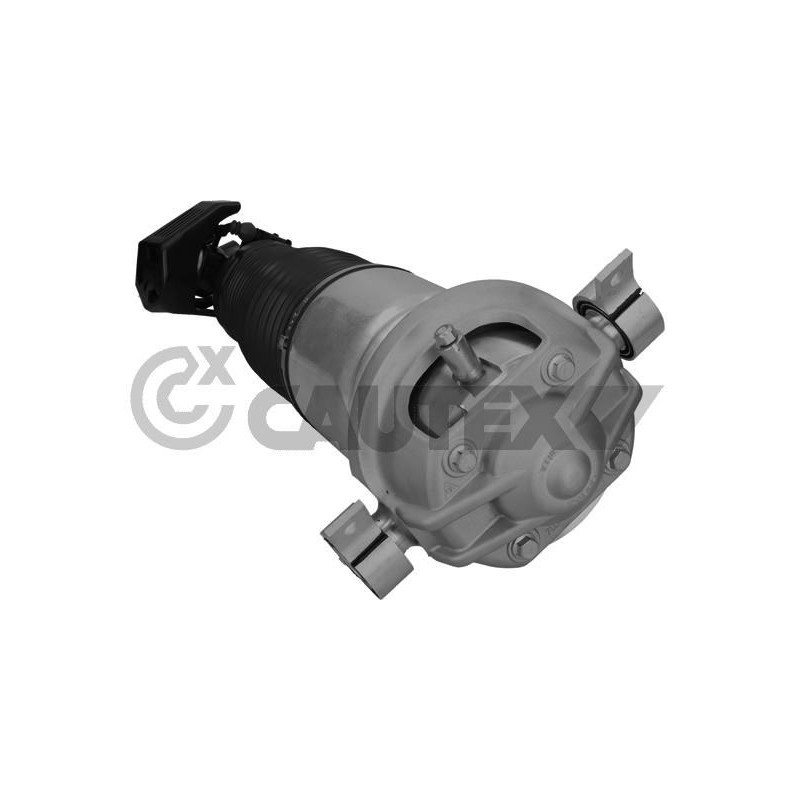 Ammortizzatore asse posteriore - CAUTEX GOMMA E PARTI MOTORE